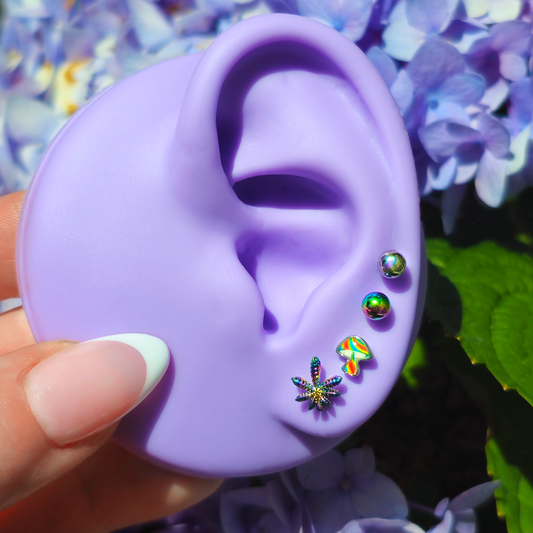 16G 1/4 Rainbow Pot Leaf Mushroom Cartilage Earring Curation Set of 4