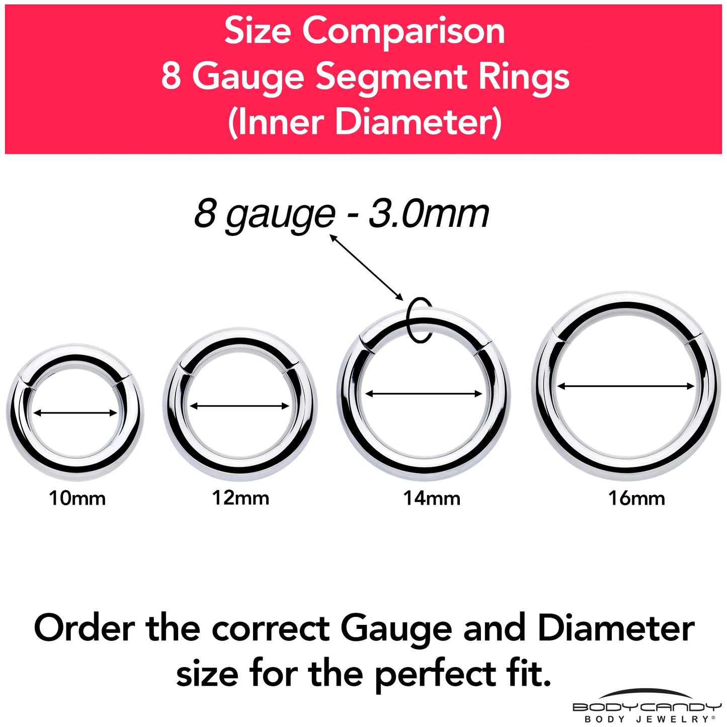 8G 1/2 316L Surgical Steel Precision Hinged Segment Hoop