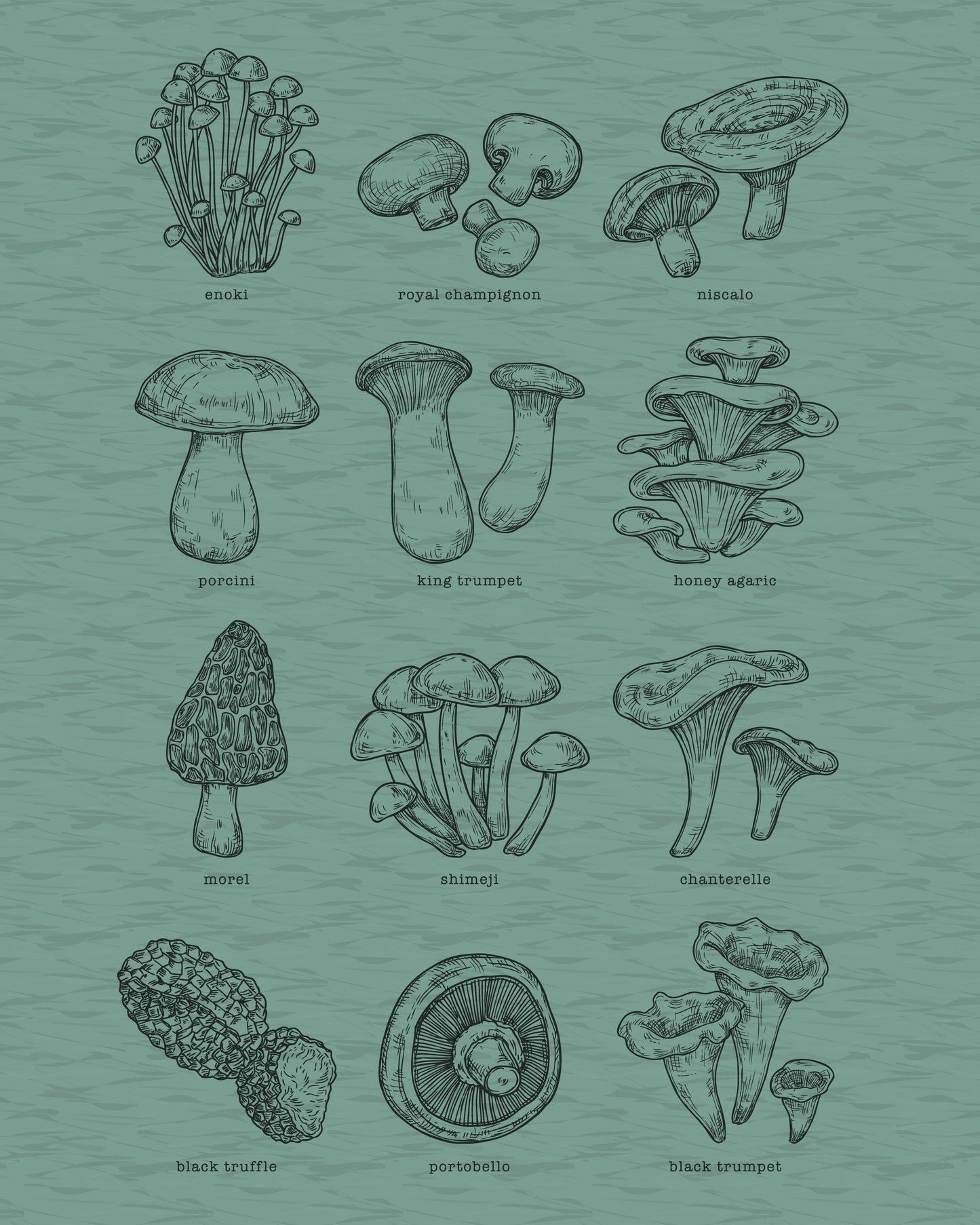 Mycology · Heather T-Shirt