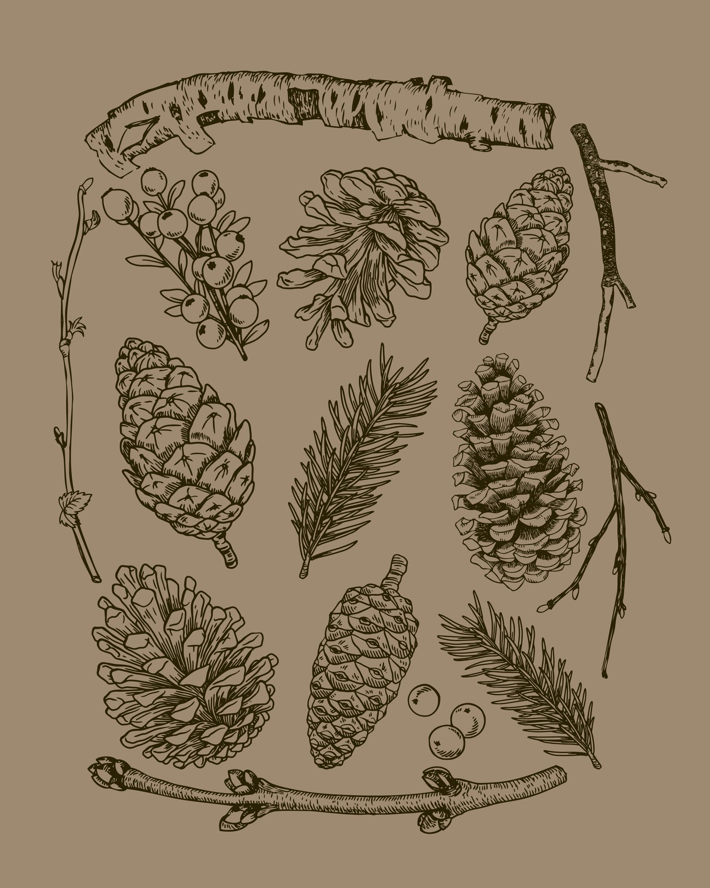Pinecones · Cotton T-Shirt