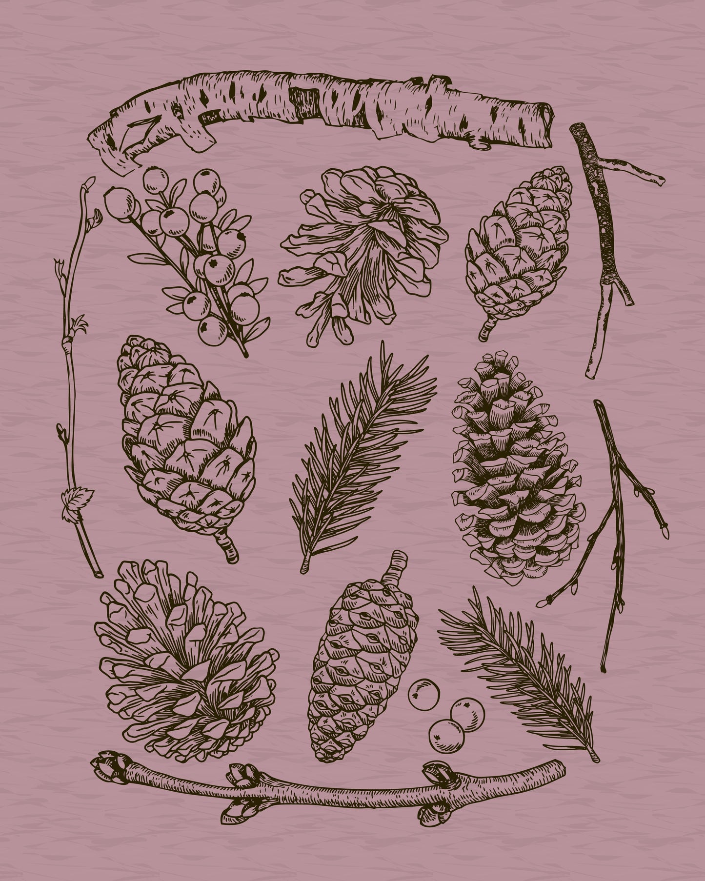 Pinecones · Heather T-Shirt