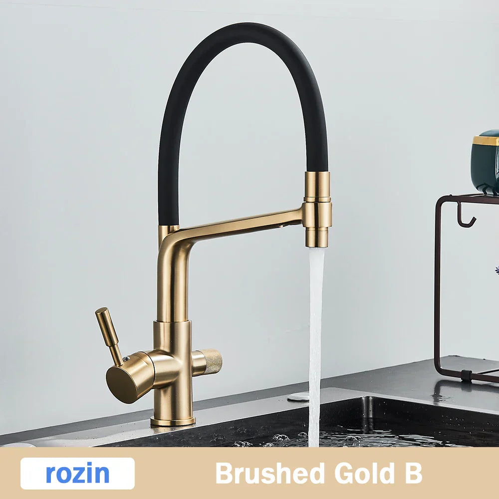 DecorBites™ Brushed Gold Swivel Kitchen Faucet with Purification Function