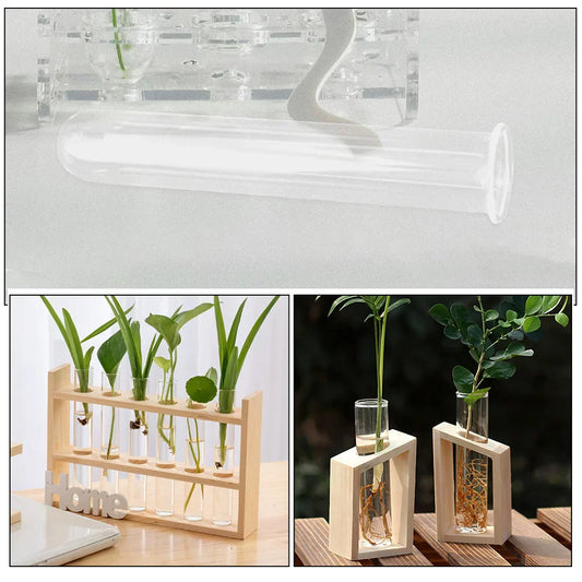 DecorBites™ Clear Glass Test Tube Vases for Plants