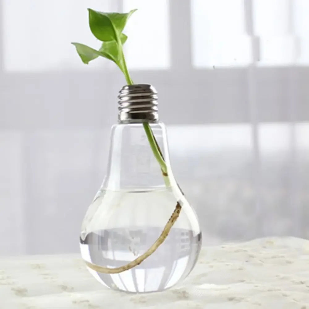 DecorBites™ Modern Glass Vase Terrarium Aquarium Decoration