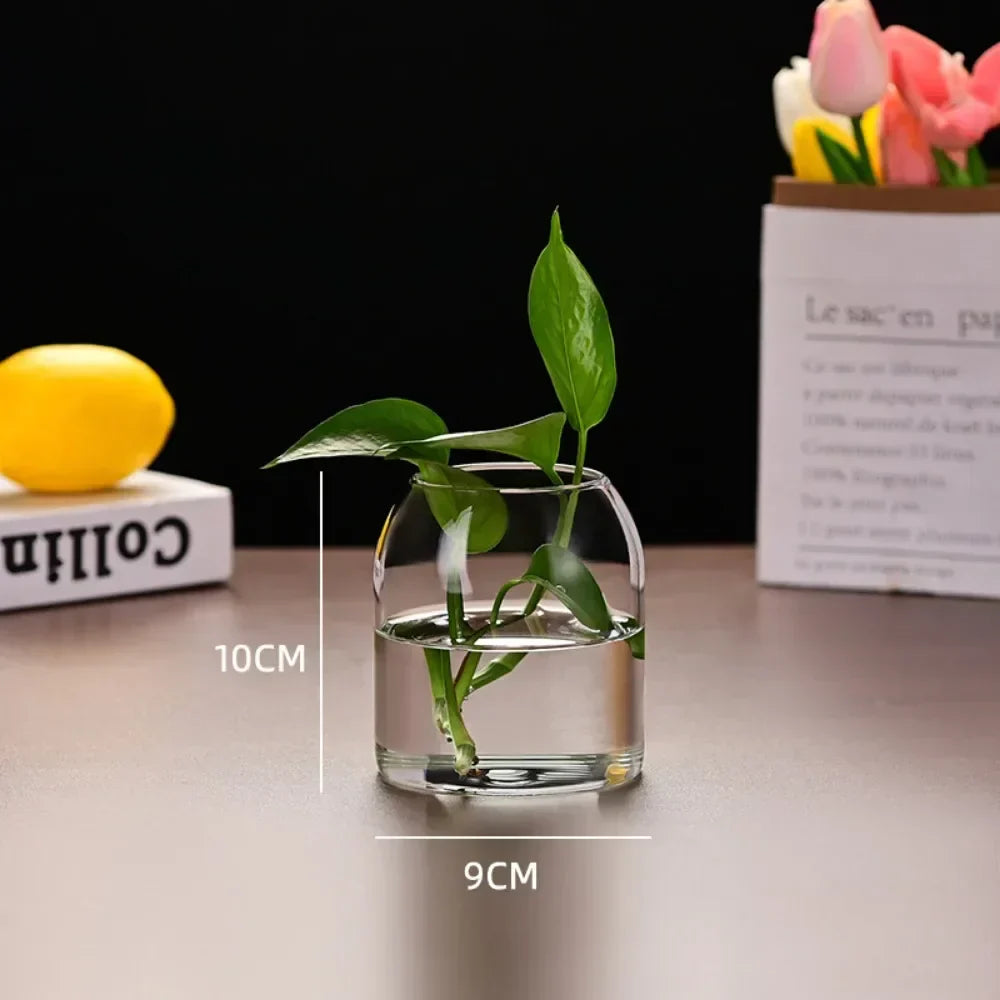 DecorBites™ Modern Hydroponic Glass Flower Vase for Home & Wedding