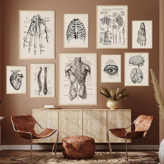 DecorBites™ Vintage Anatomy Art Print for Medical Decor