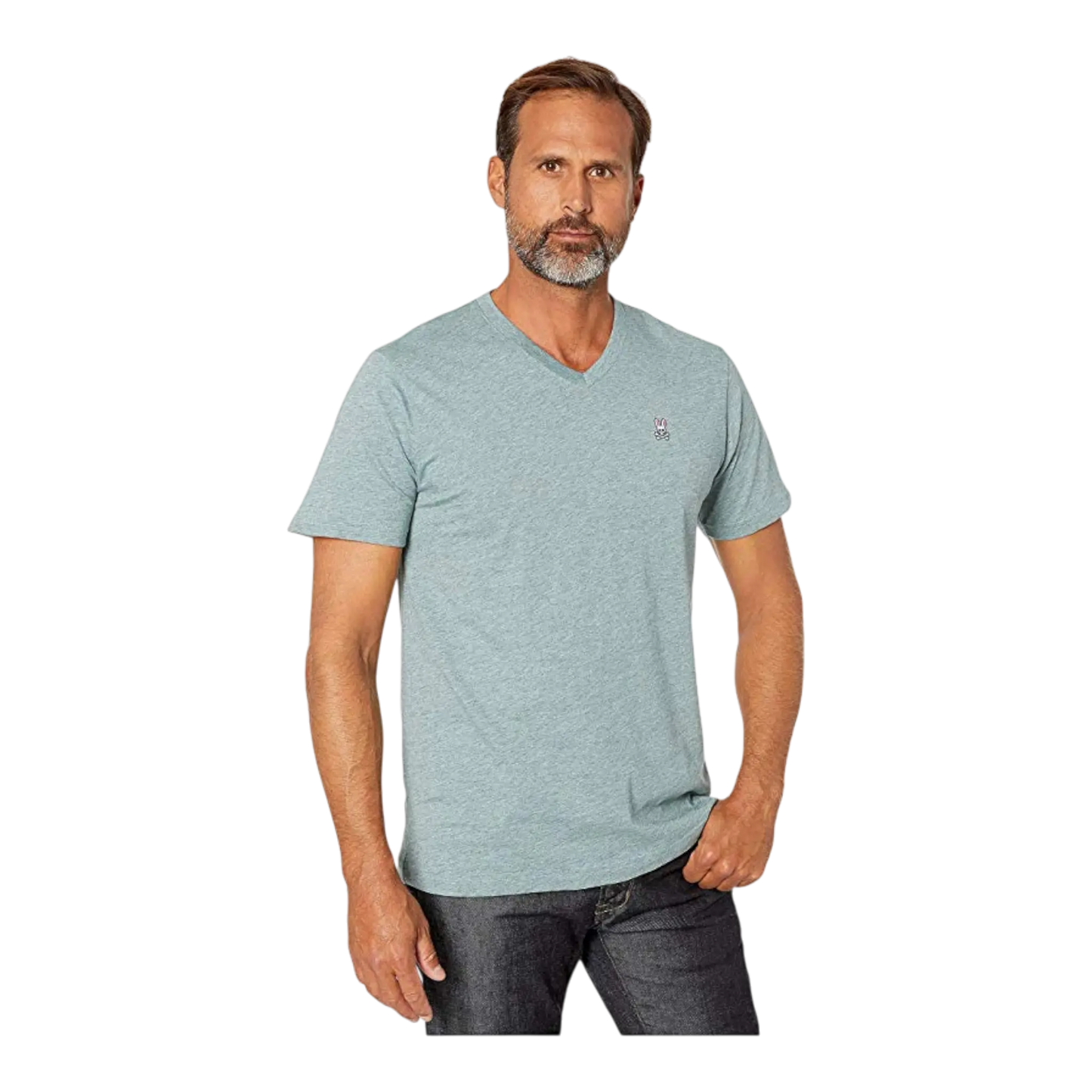 Psycho Bunny Classic V-Neck Men T-Shirt Heather Antigua