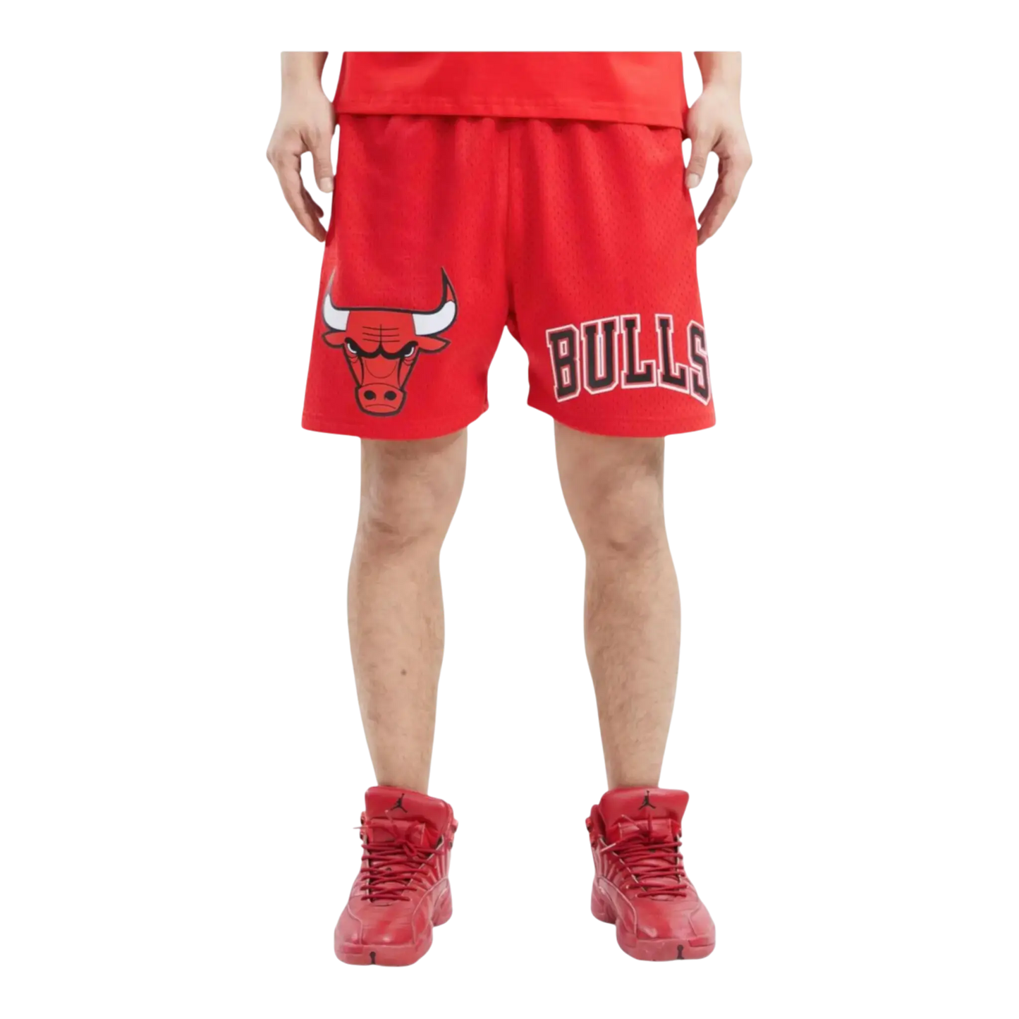 Pro Standard NBA Chicago Bulls Logo Men Mesh Shorts Red