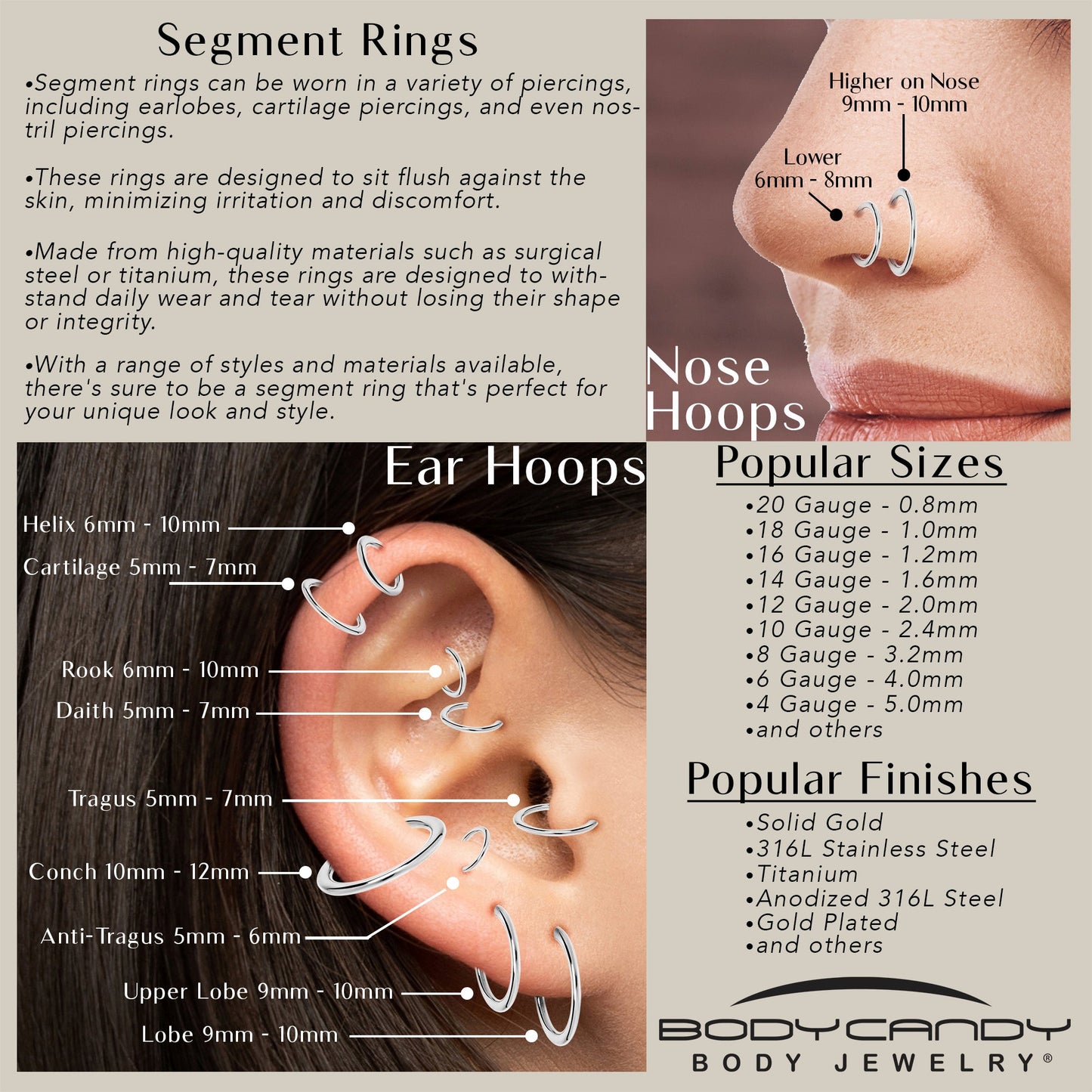 16G 3/8 Black PVD Hinged Segment Ring