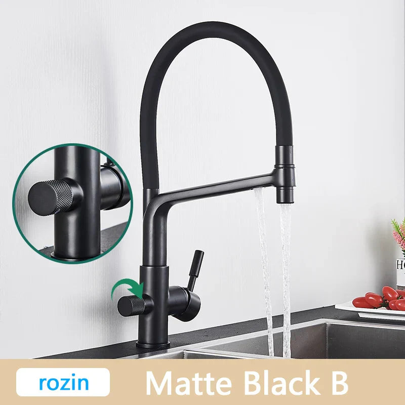 DecorBites™ Brushed Gold Swivel Kitchen Faucet with Purification Function