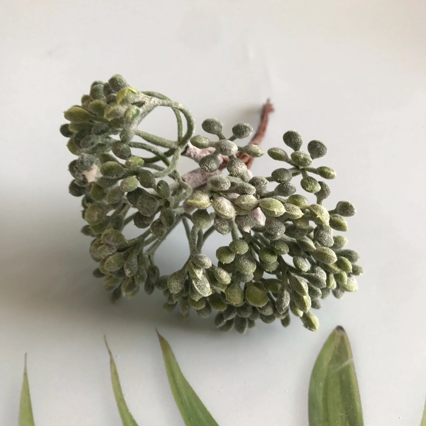 DecorBites™ Artificial Plants DIY Garland Craft Decoration Adornment Dried Plants 5g