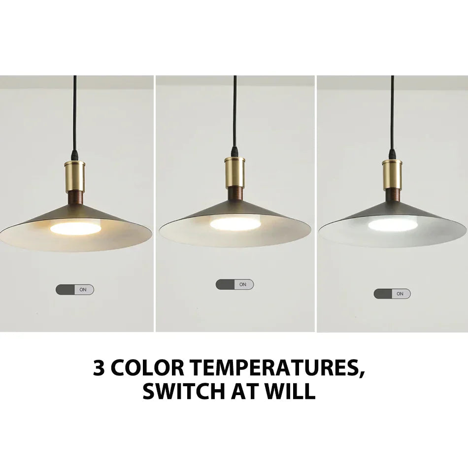 DecorBites™ Dimming Pendant Light: Modern Nordic Hanging Lamp for Restaurant and Living Room