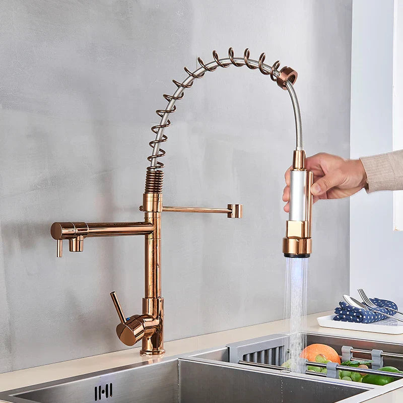 DecorBites™ Black Bronze Dual Spout Kitchen Faucet with Pull Down Sprayer