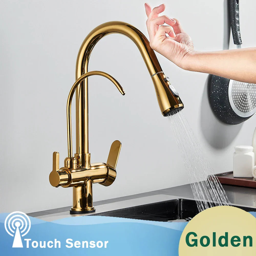 DecorBites™ Black Dual Modes Kitchen Faucet 2 in 1 Pure Water Mixer Tap
