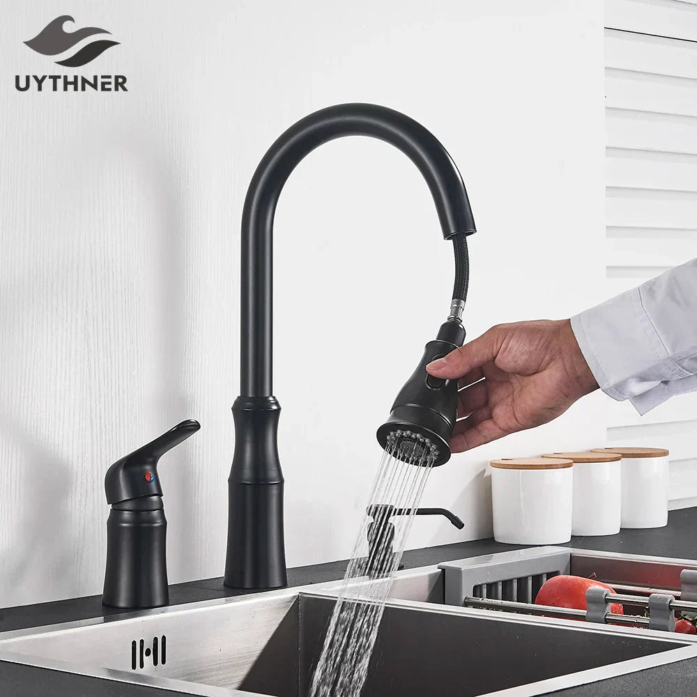 DecorBites™ Brass Black Kitchen Faucet Pull Out Mixer Taps Hot/Cold Water Cranes