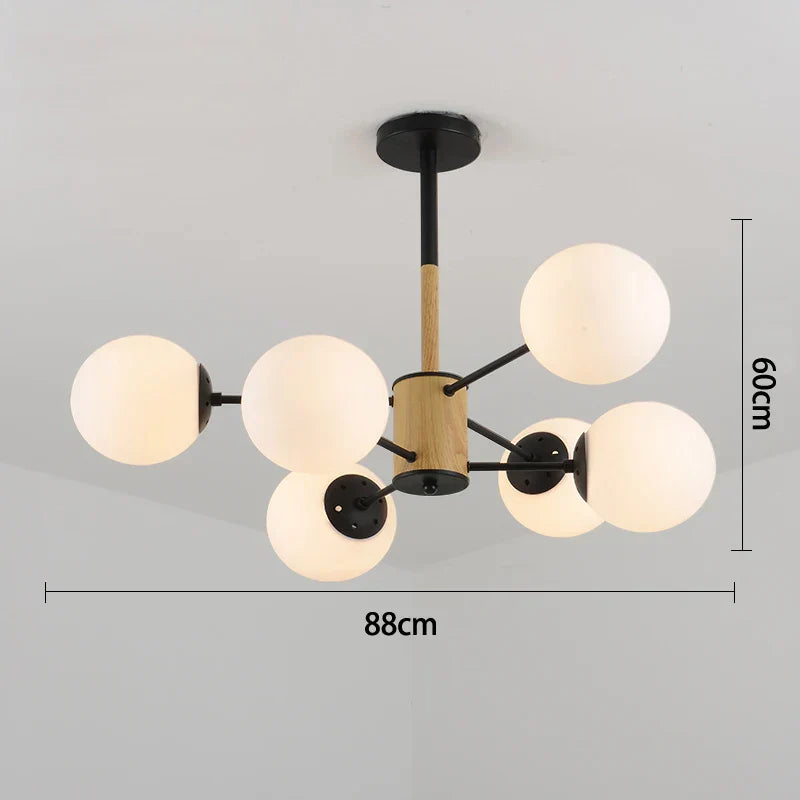 DecorBites™ Black/Gold Glass Pendant Light for Living Room Bedroom Restaurant