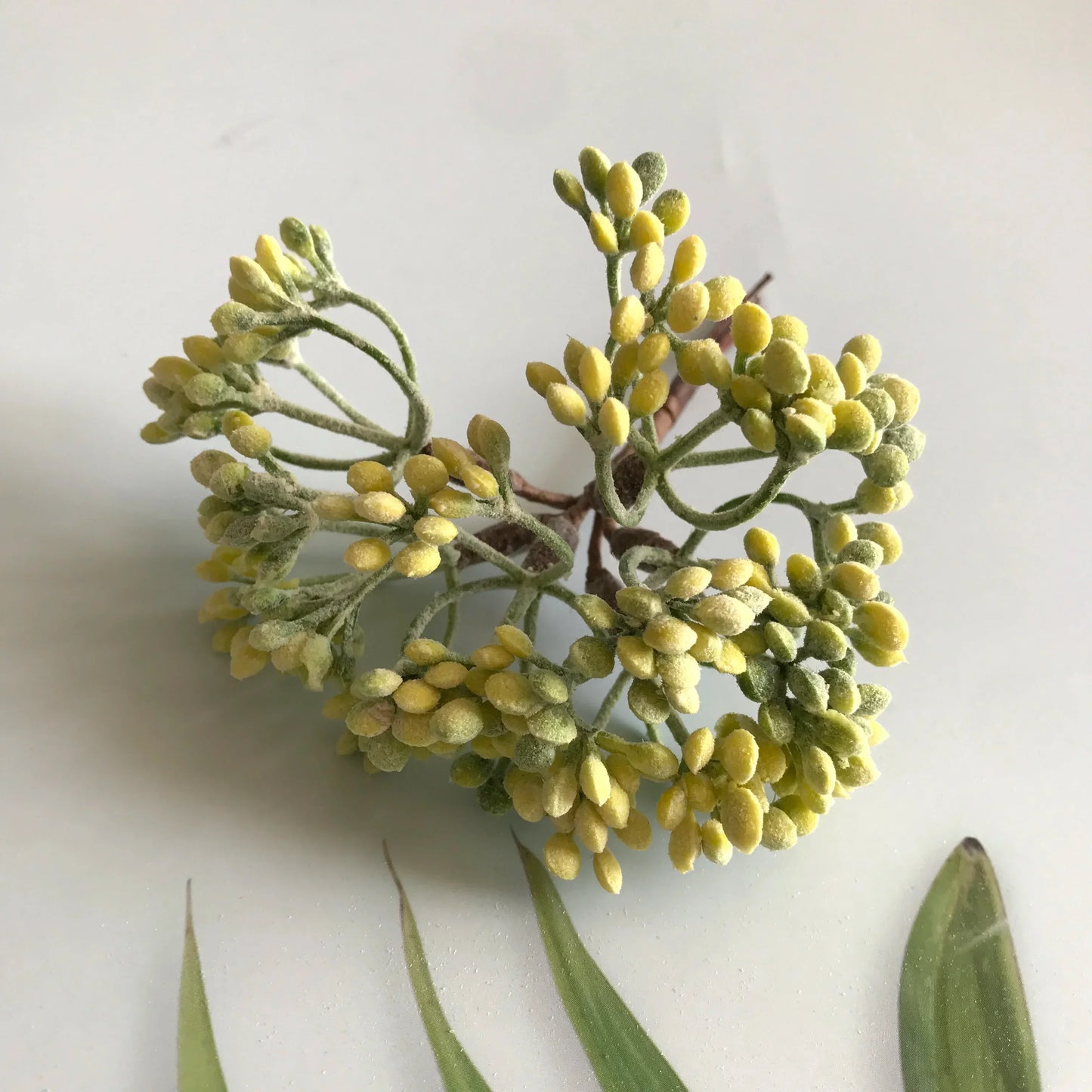 DecorBites™ Artificial Plants DIY Garland Craft Decoration Adornment Dried Plants 5g
