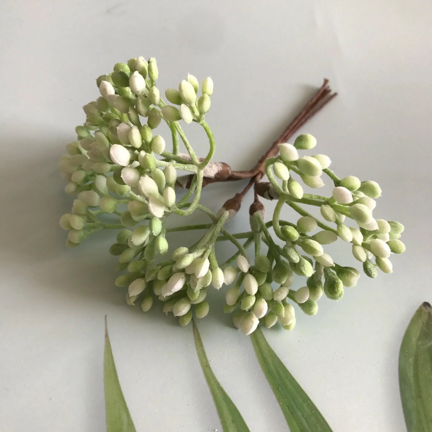 DecorBites™ Artificial Plants DIY Garland Craft Decoration Adornment Dried Plants 5g