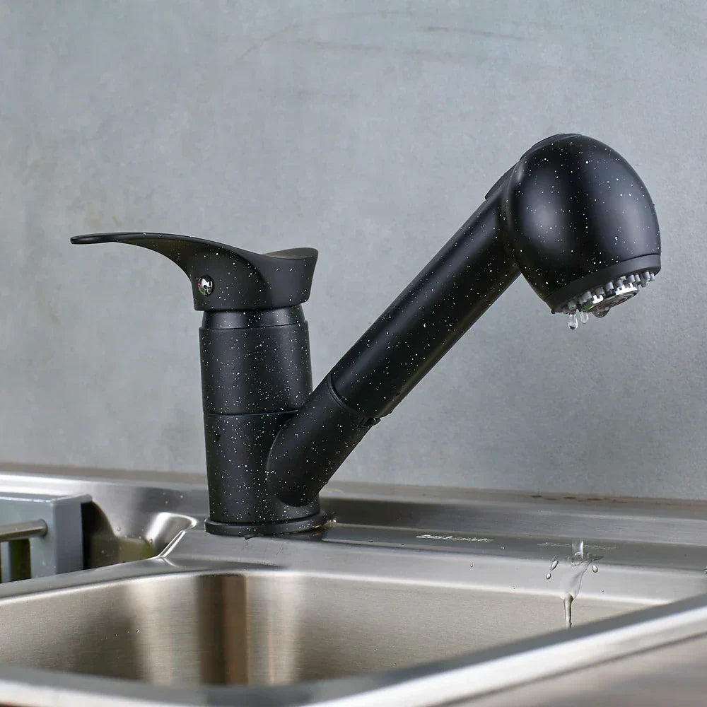 DecorBites™ Brushed Nickel Kitchen Faucet with Sprayer Steam Spout