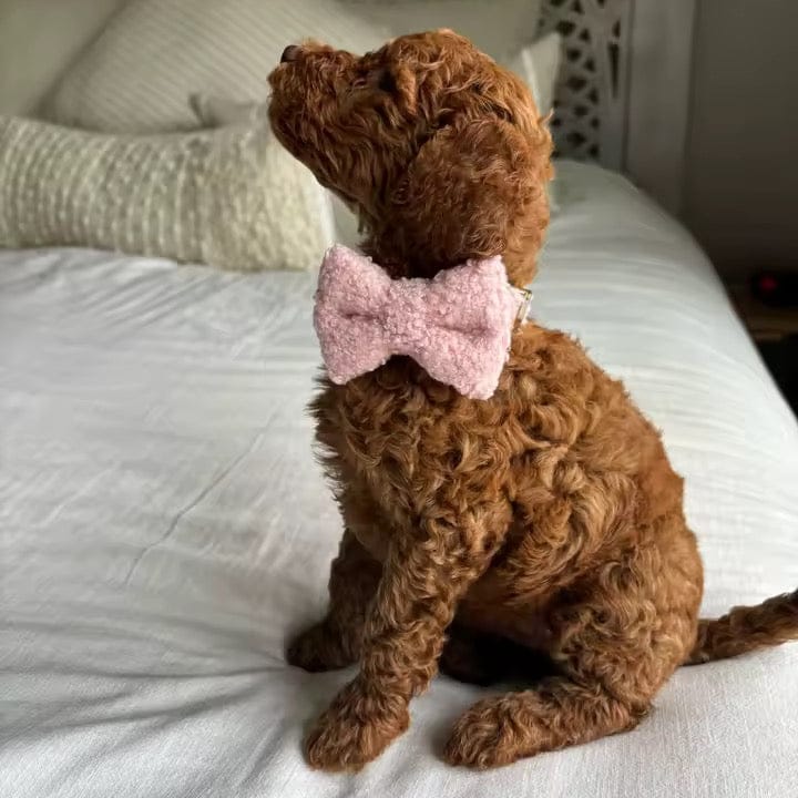 Teddy Pink Set