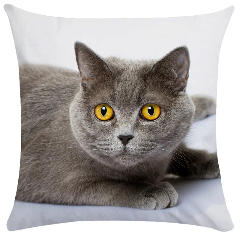 DecorBites™ Bubble Black Cats Cat Pillow Cases Sofa Home Decor Custom Cushion Cover