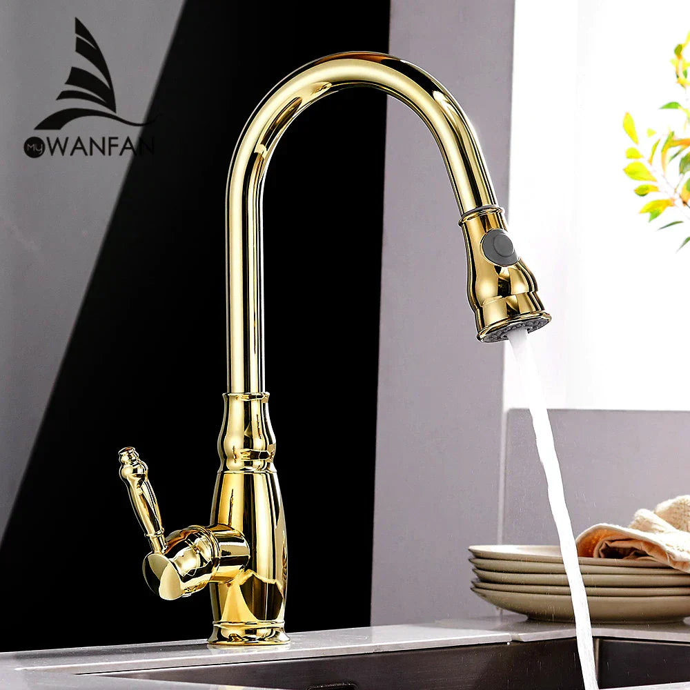 DecorBites™ Gold Kitchen Sink Mixer Faucet with Pull Out Spray Head Rotation - WF-4118