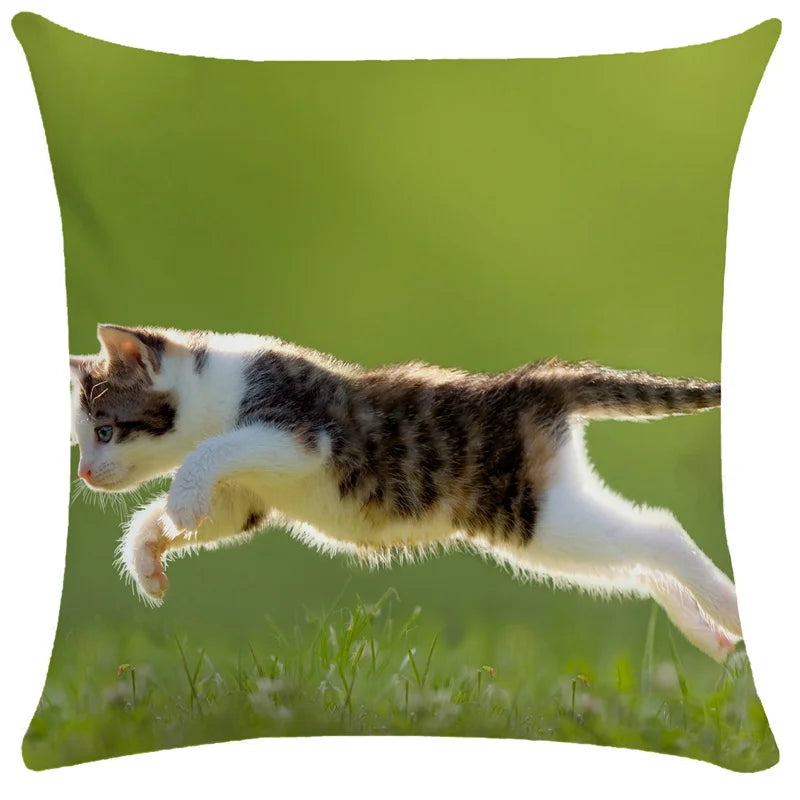 DecorBites™ Bubble Black Cats Cat Pillow Cases Sofa Home Decor Custom Cushion Cover