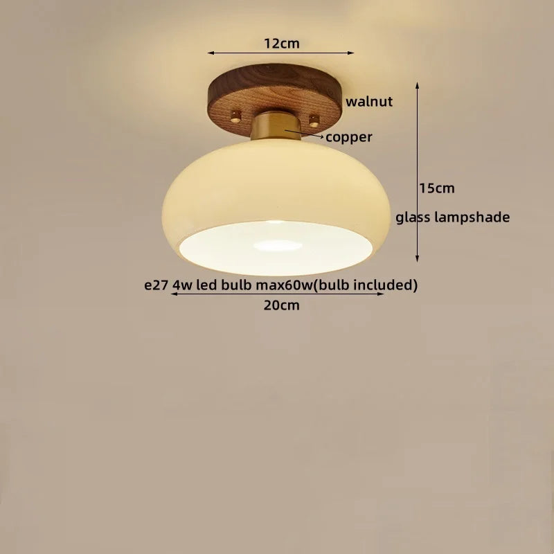 DecorBites™ LED Modern Ceiling Light for Living Room Balcony, Nordic Style Indoor Lighting Fixtures