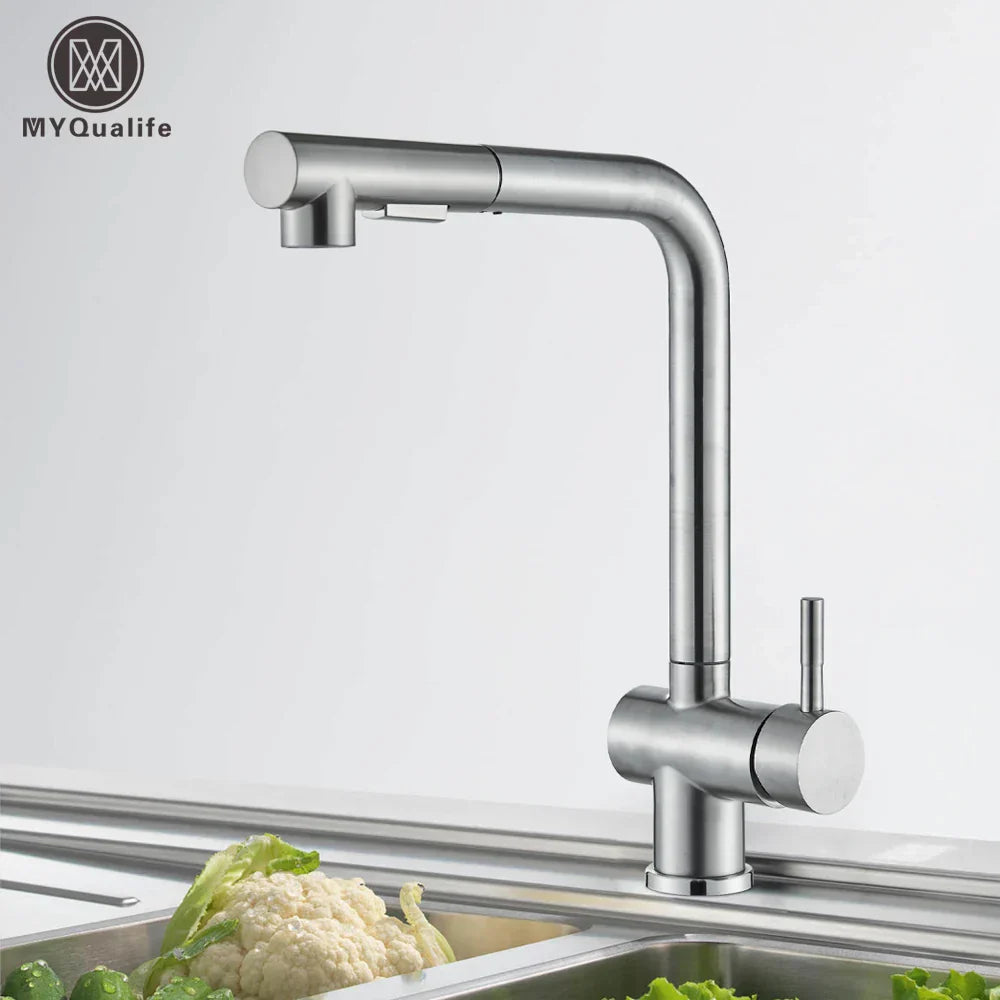 DecorBites™ Brushed Nickel Kitchen Faucet with Dual Spray Nozzle