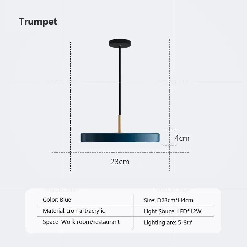 DecorBites™ LED Pendant Light: Iron, Black, White, Blue, Dining, Bedroom, Living, Study, Indoor.