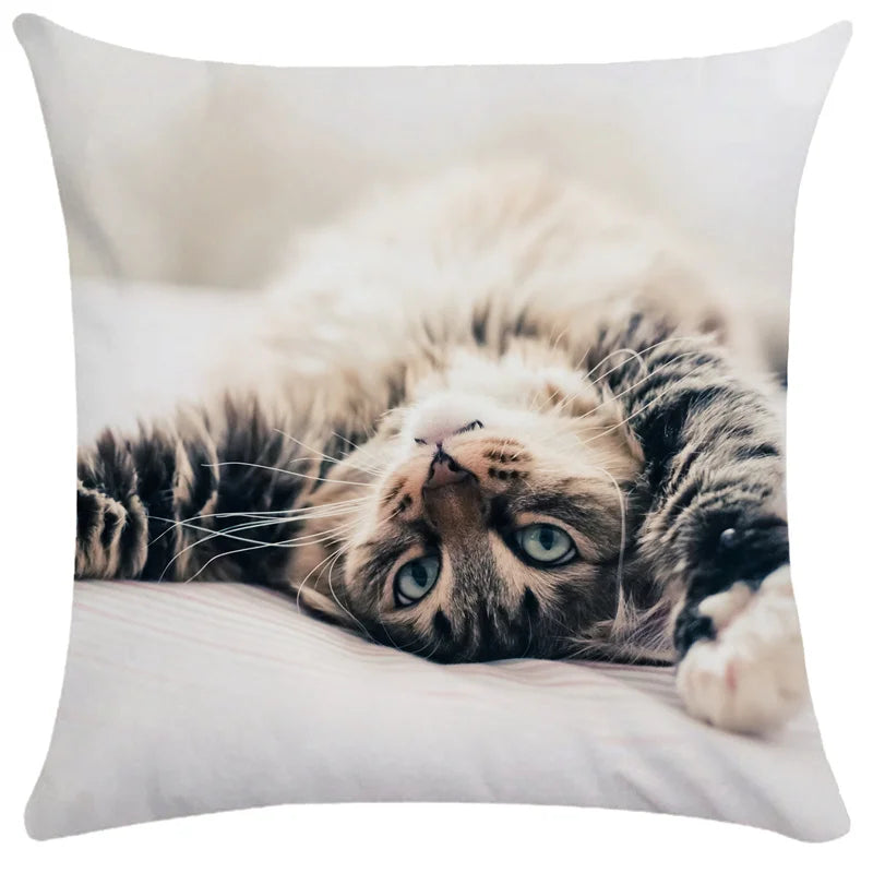 DecorBites™ Bubble Black Cats Cat Pillow Cases Sofa Home Decor Custom Cushion Cover