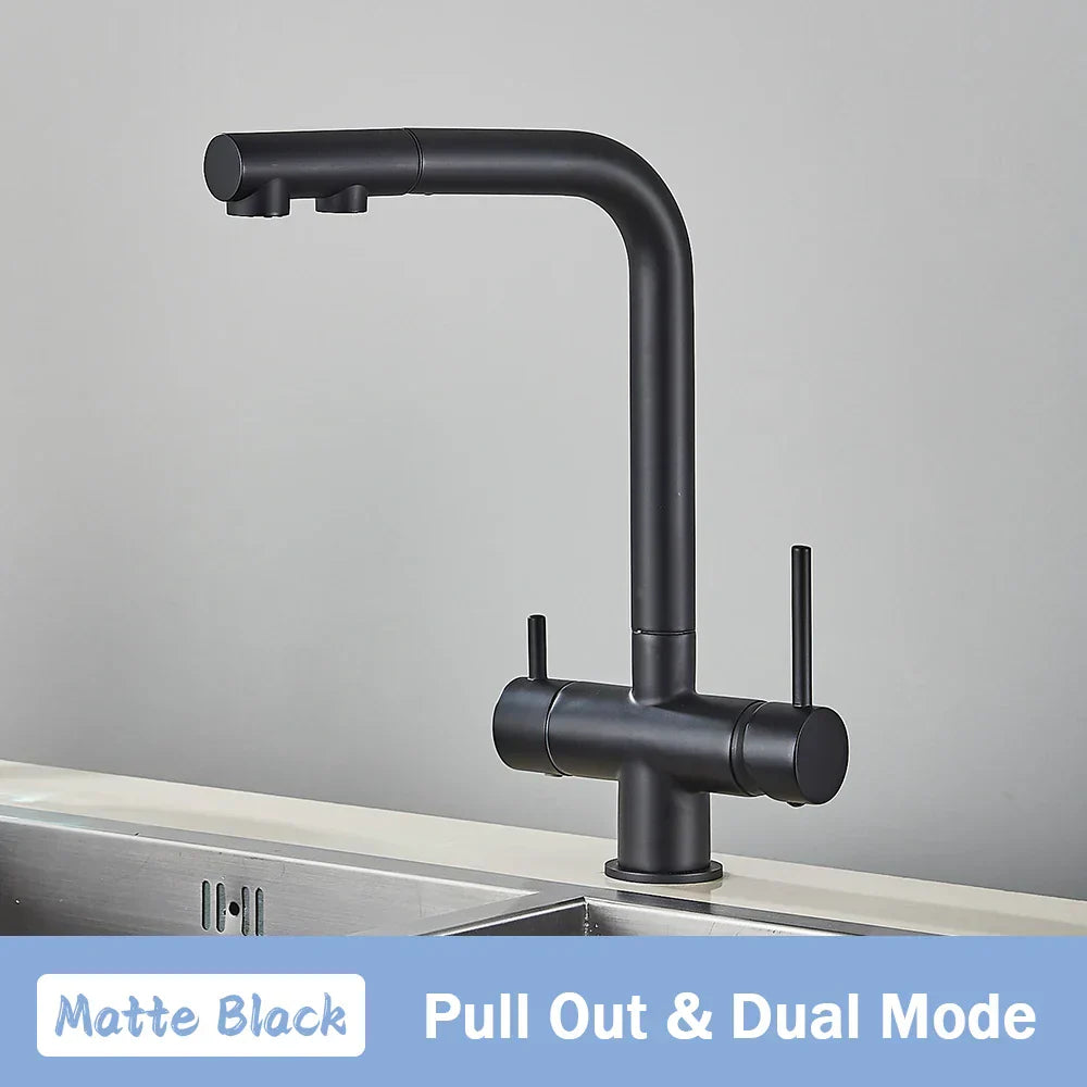 DecorBites™ Black Pull Out Water Purifier Faucet: 2-in-1 Hot Cold Mixer Tap