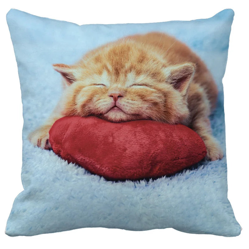 DecorBites™ Bubble Black Cats Cat Pillow Cases Sofa Home Decor Custom Cushion Cover