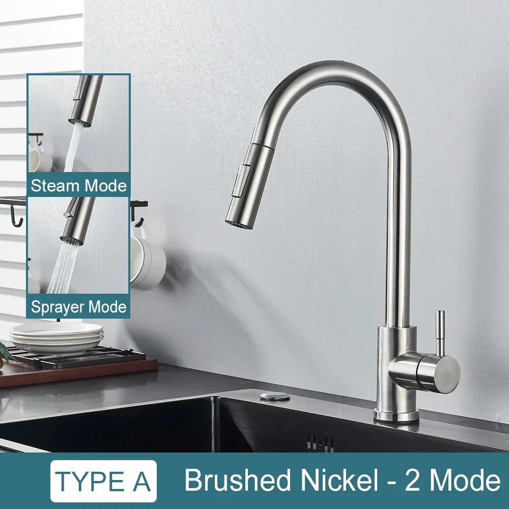 DecorBites™ Black Kitchen Faucet: Single Handle Pull Out Mixer, Two Function Hot and Cold Water Taps