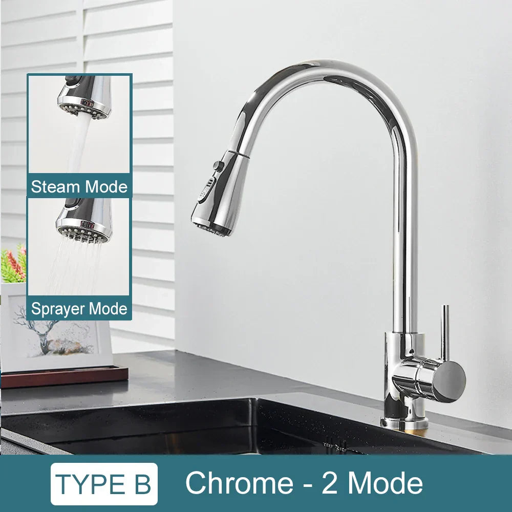 DecorBites™ Black Kitchen Faucet: Single Handle Pull Out Mixer, Two Function Hot and Cold Water Taps