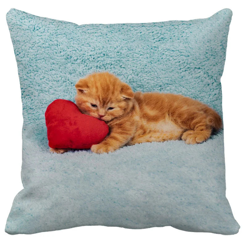 DecorBites™ Bubble Black Cats Cat Pillow Cases Sofa Home Decor Custom Cushion Cover