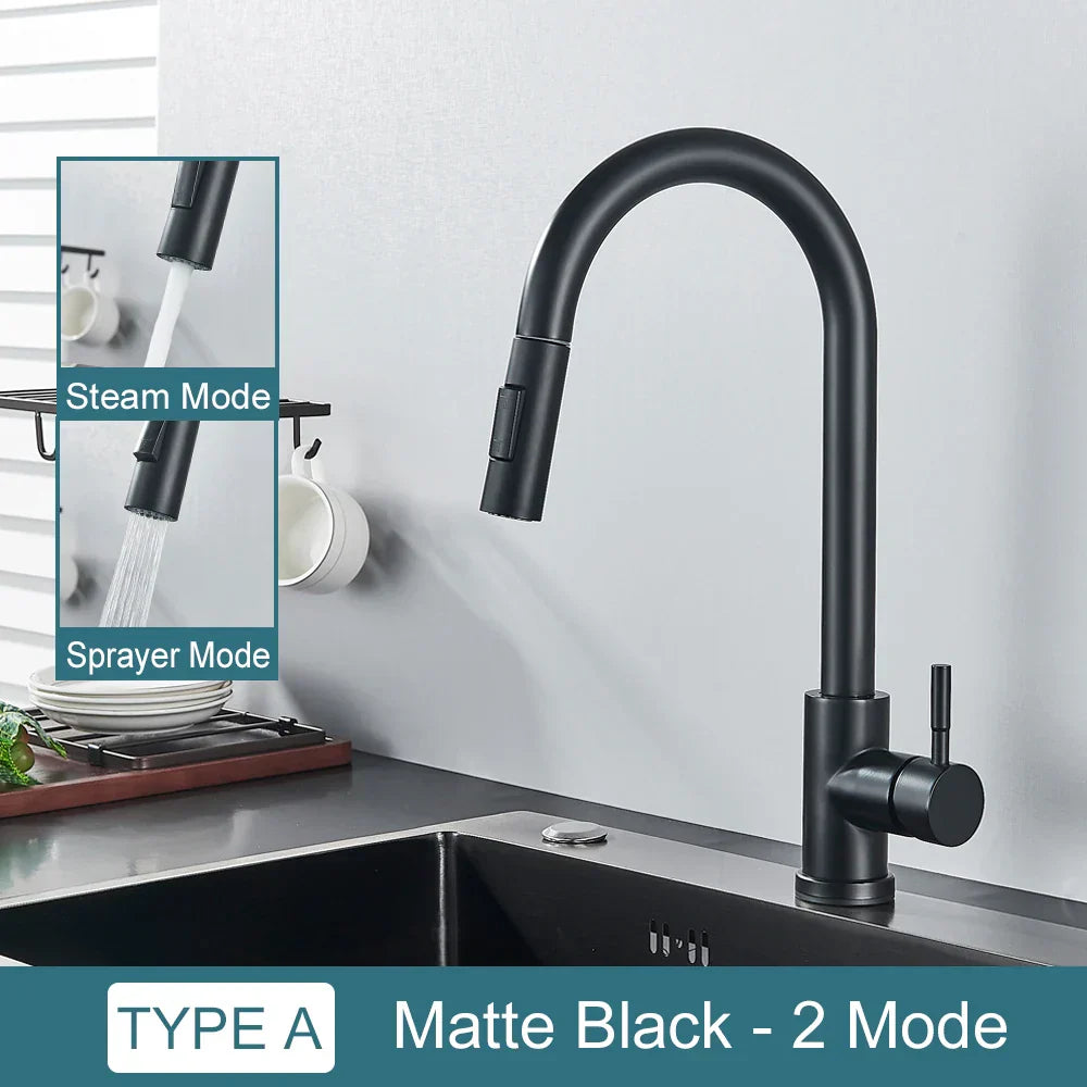 DecorBites™ Black Kitchen Faucet: Single Handle Pull Out Mixer, Two Function Hot and Cold Water Taps