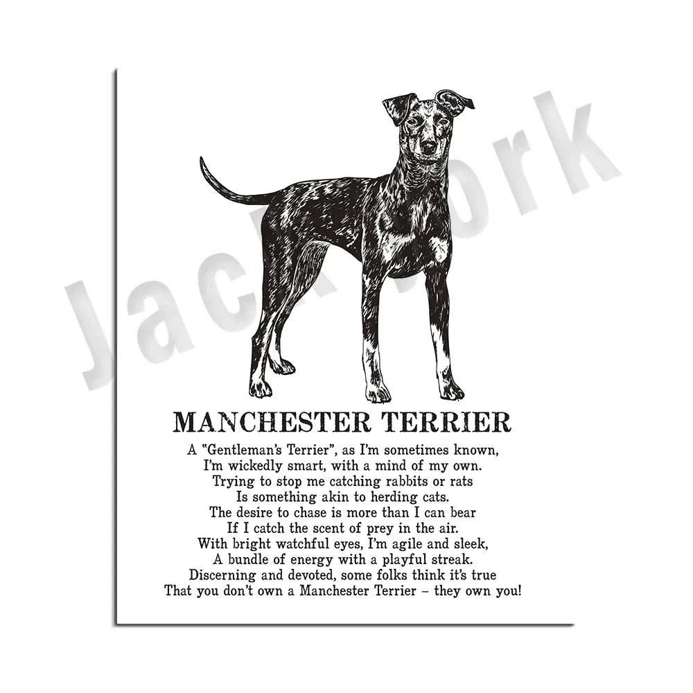 DecorBites™ Dog Breed Poetry Poster Collection: Vizsla, Pomeranian, Manchester Terrier, and More