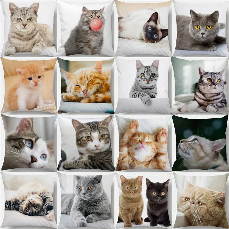 DecorBites™ Bubble Black Cats Cat Pillow Cases Sofa Home Decor Custom Cushion Cover