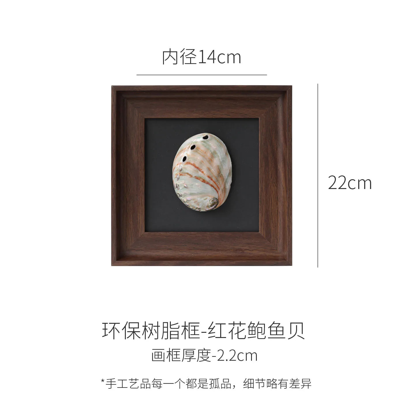 DecorBites™ Conch Shell Decorative Painting Frame Pendant Wall Ornaments