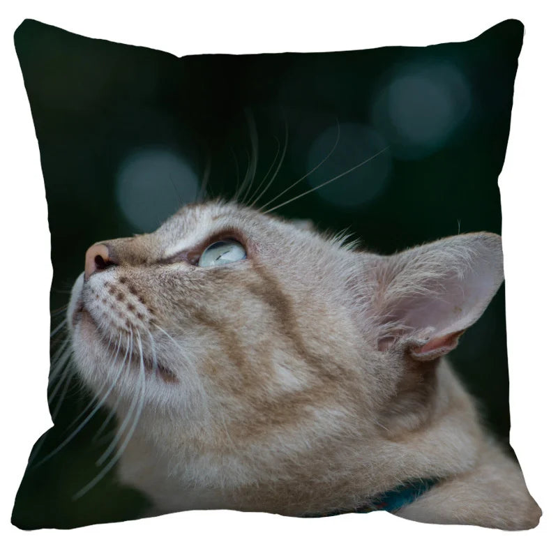 DecorBites™ Bubble Black Cats Cat Pillow Cases Sofa Home Decor Custom Cushion Cover