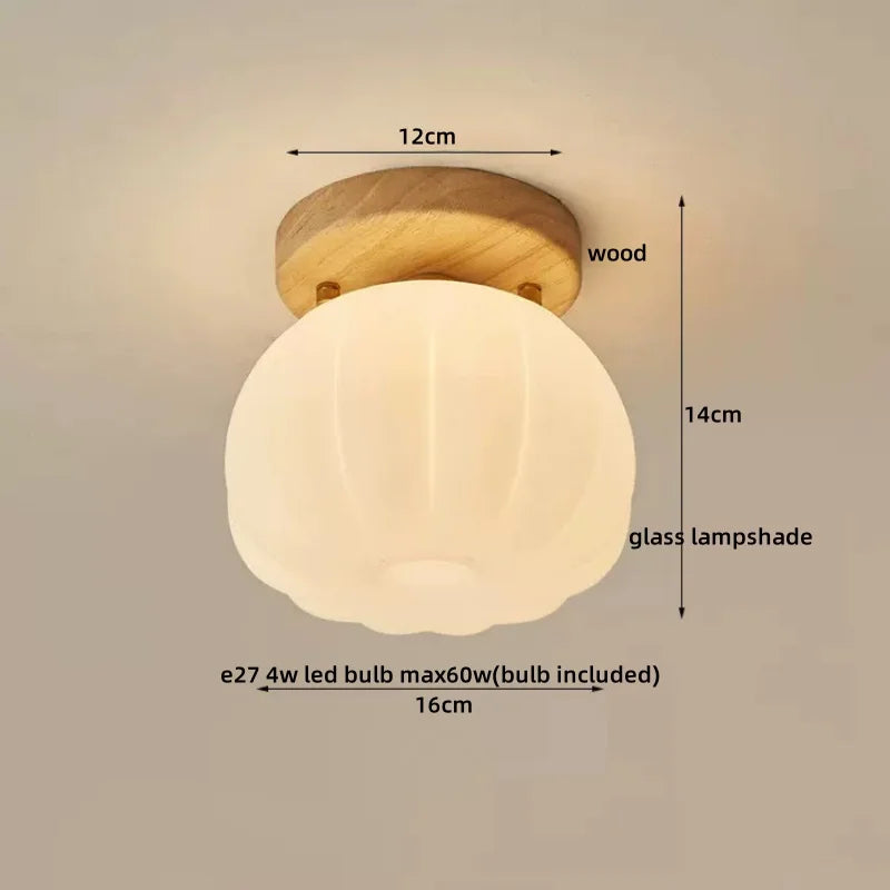 DecorBites™ LED Modern Ceiling Light for Living Room Balcony, Nordic Style Indoor Lighting Fixtures
