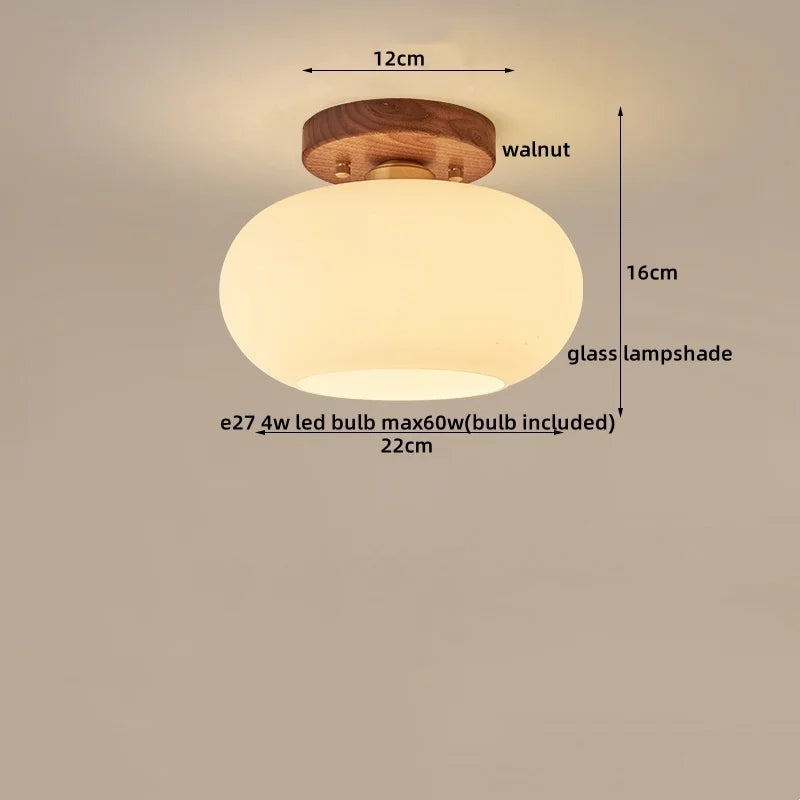 DecorBites™ LED Modern Ceiling Light for Living Room Balcony, Nordic Style Indoor Lighting Fixtures