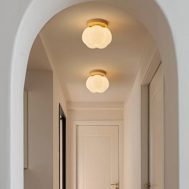 DecorBites™ LED Modern Ceiling Light for Living Room Balcony, Nordic Style Indoor Lighting Fixtures