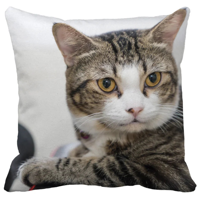 DecorBites™ Bubble Black Cats Cat Pillow Cases Sofa Home Decor Custom Cushion Cover