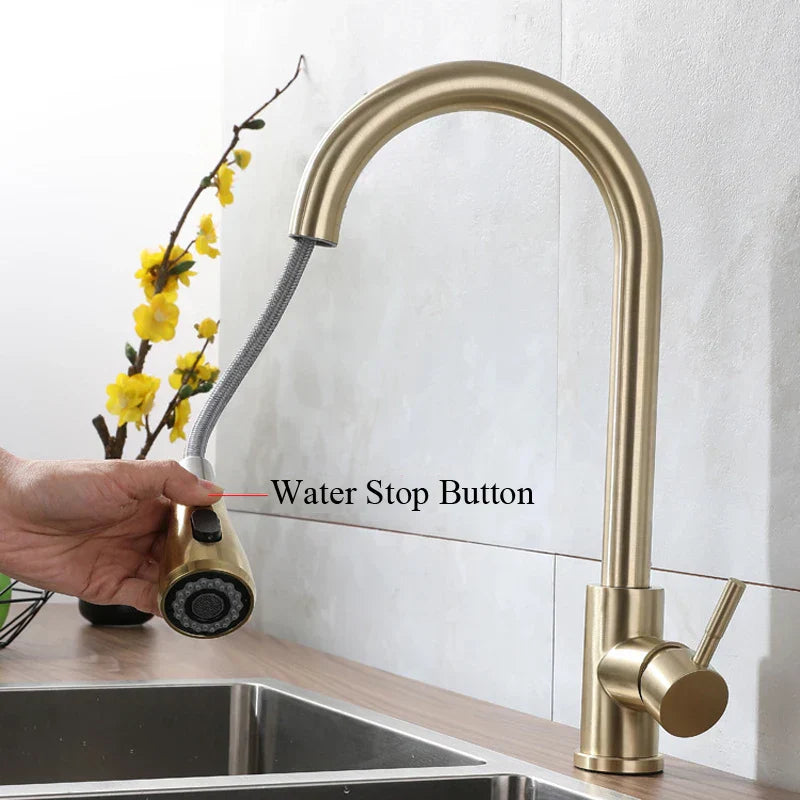 DecorBites™ Brushed Gold Single Handle Pull Out Kitchen Faucet