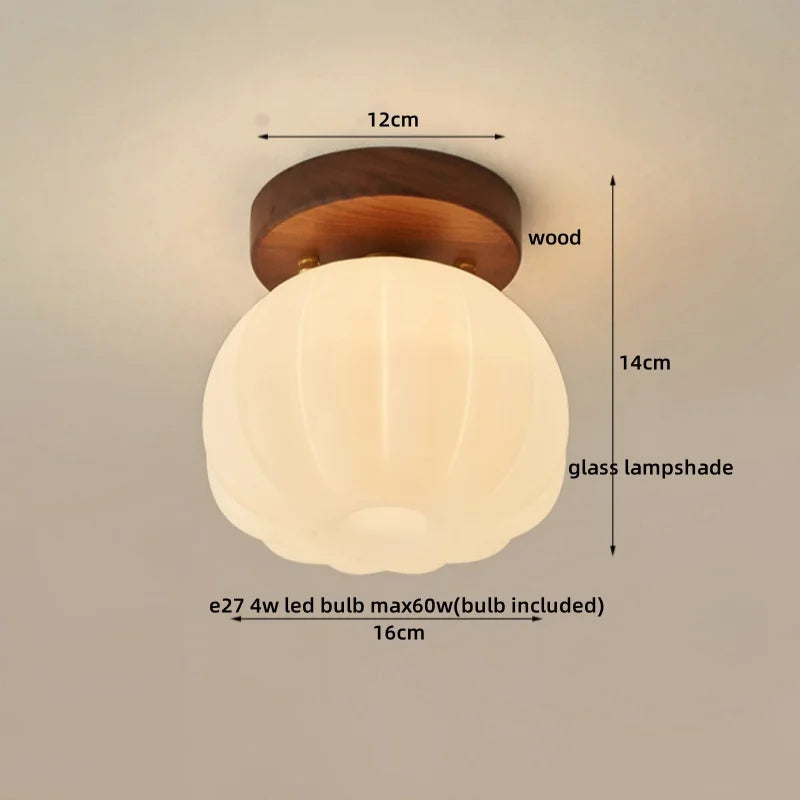 DecorBites™ LED Modern Ceiling Light for Living Room Balcony, Nordic Style Indoor Lighting Fixtures