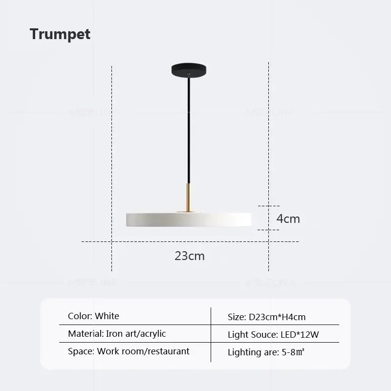 DecorBites™ LED Pendant Light: Iron, Black, White, Blue, Dining, Bedroom, Living, Study, Indoor.