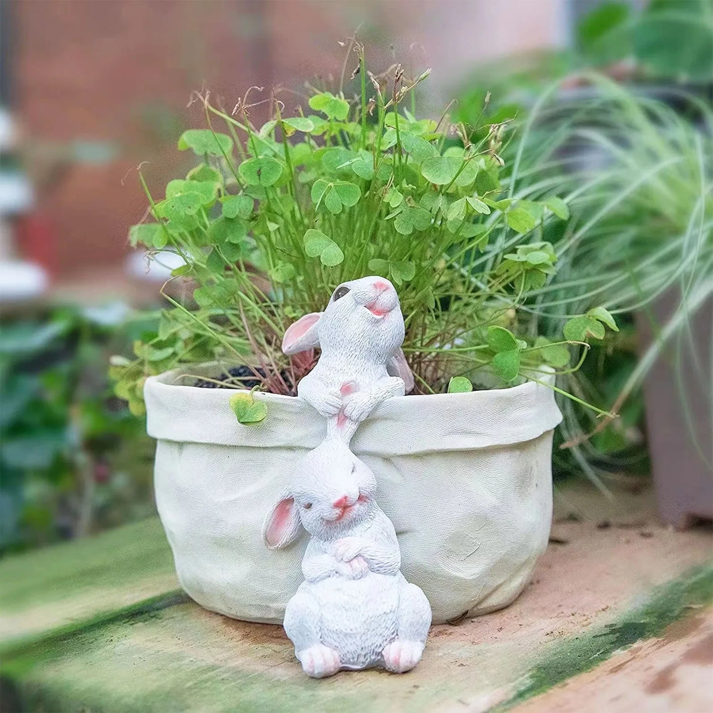 DecorBites™ Bunny Succulent Planter Pot for Garden and Patio Decor