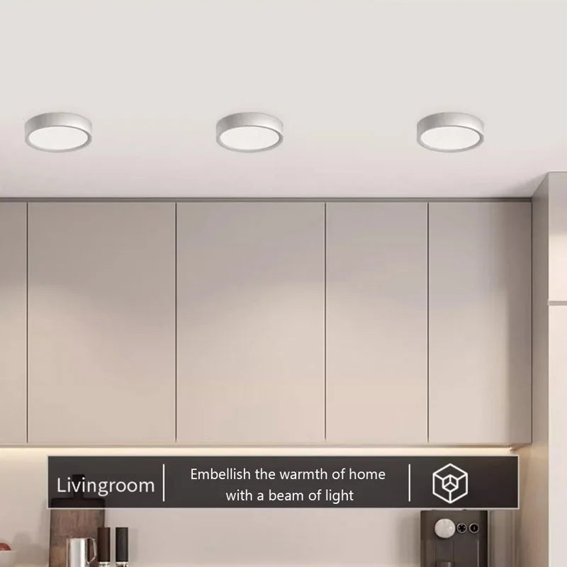 DecorBites™ LED Minimalist Ceiling Light for Home - Ultra Slim Round Modern Lamps